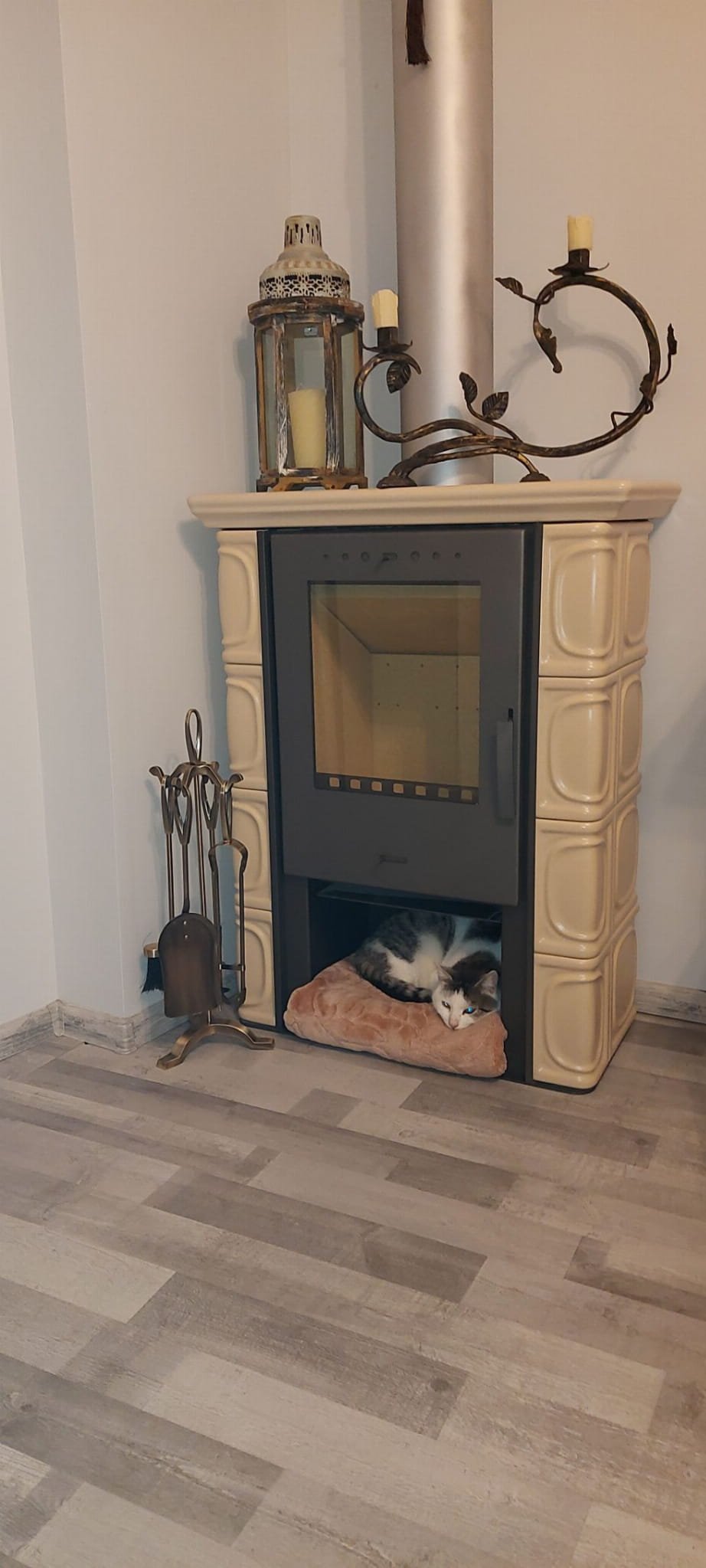 Koklinis židinys FLAMA ELDUR EKO (6 kW) Medaus