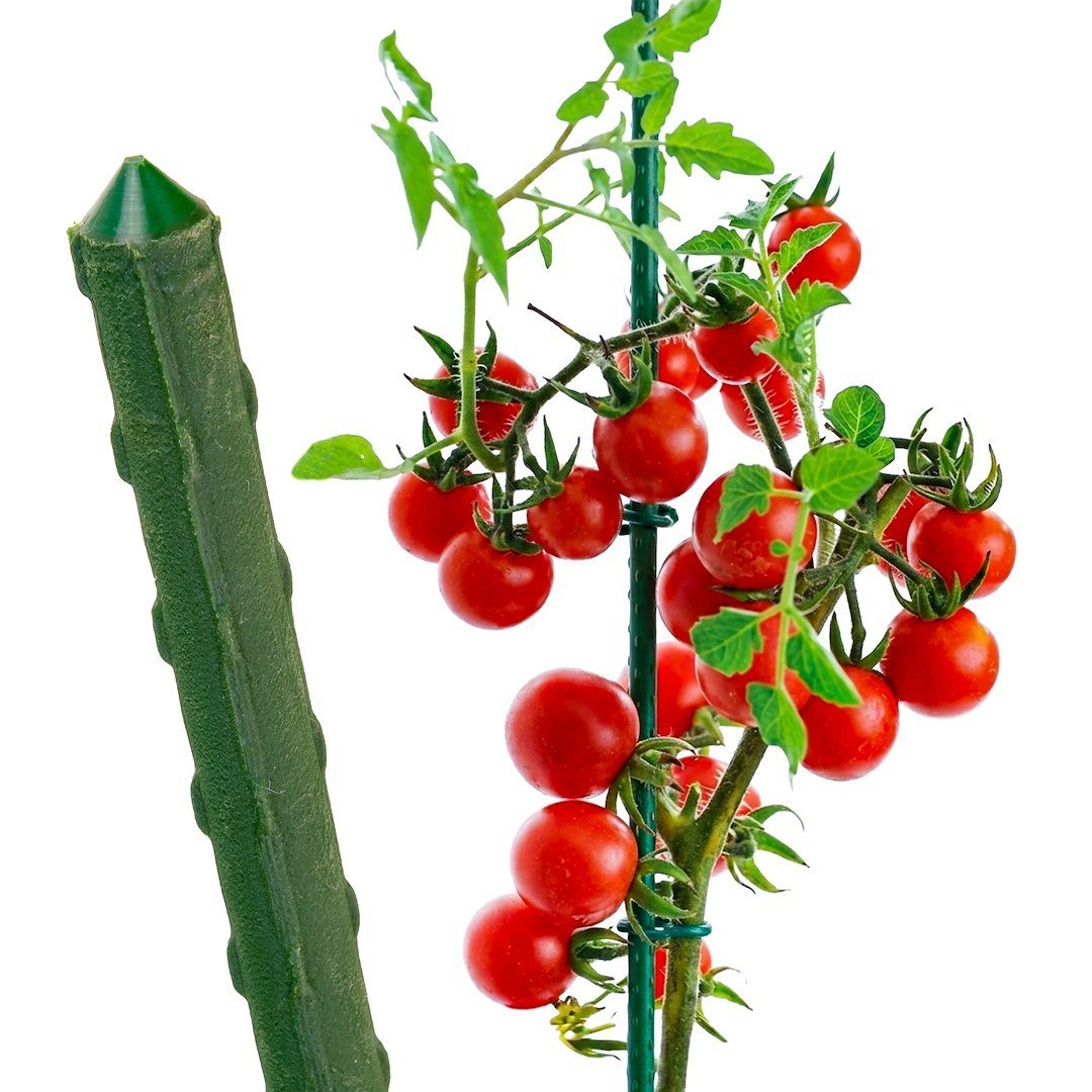 PVC-Coated Steel Garden Stake 11mm ×180cm